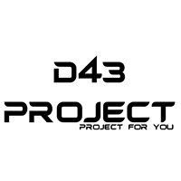 D43 Project chat bot