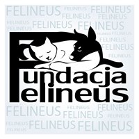 Fundacja Felineus chat bot