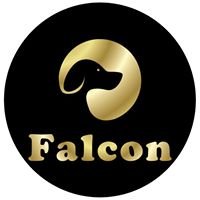 Falcon chat bot