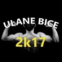 Konkurs Ulane Bice 2017 chat bot