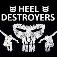 Heel Destroyers chat bot